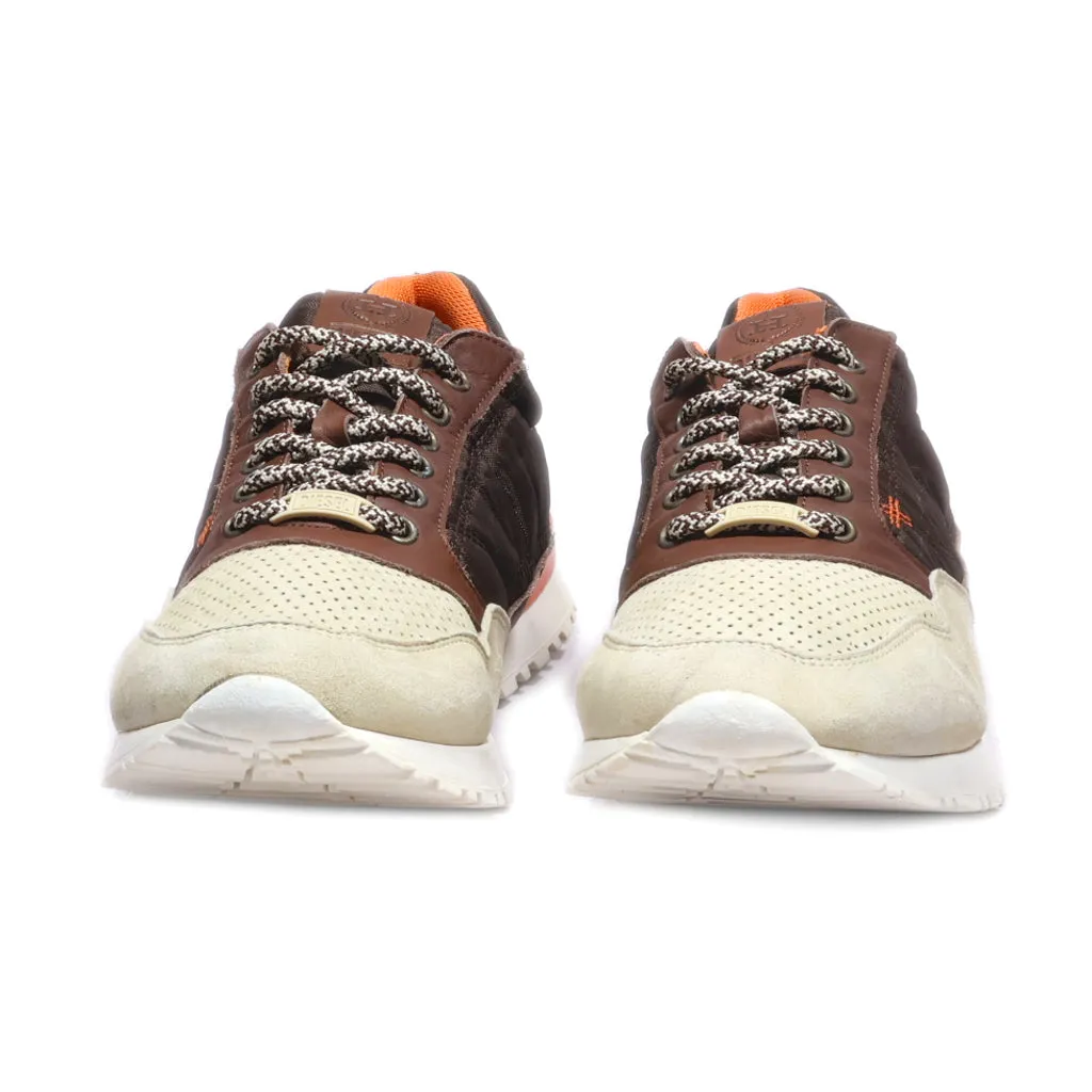 Diesel Low-Top Sneakers Fabric Brown Colour For Men