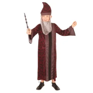 Dumbledore Child Robe