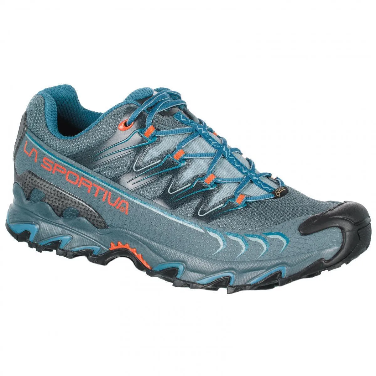 Men’s Ultra Raptor GORE-TEX® Shoes