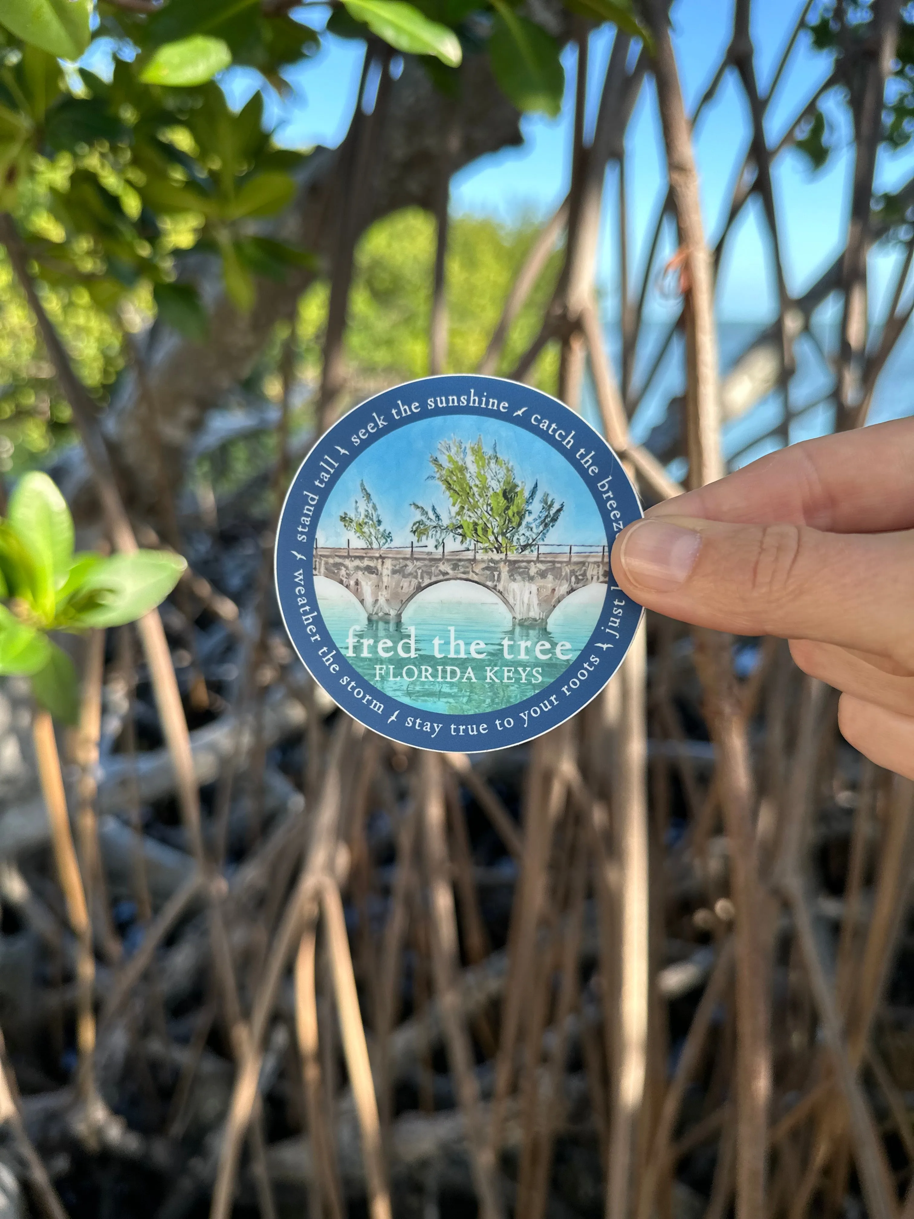 Scholarship Sticker - Fred the Tree 3” Circle Blue