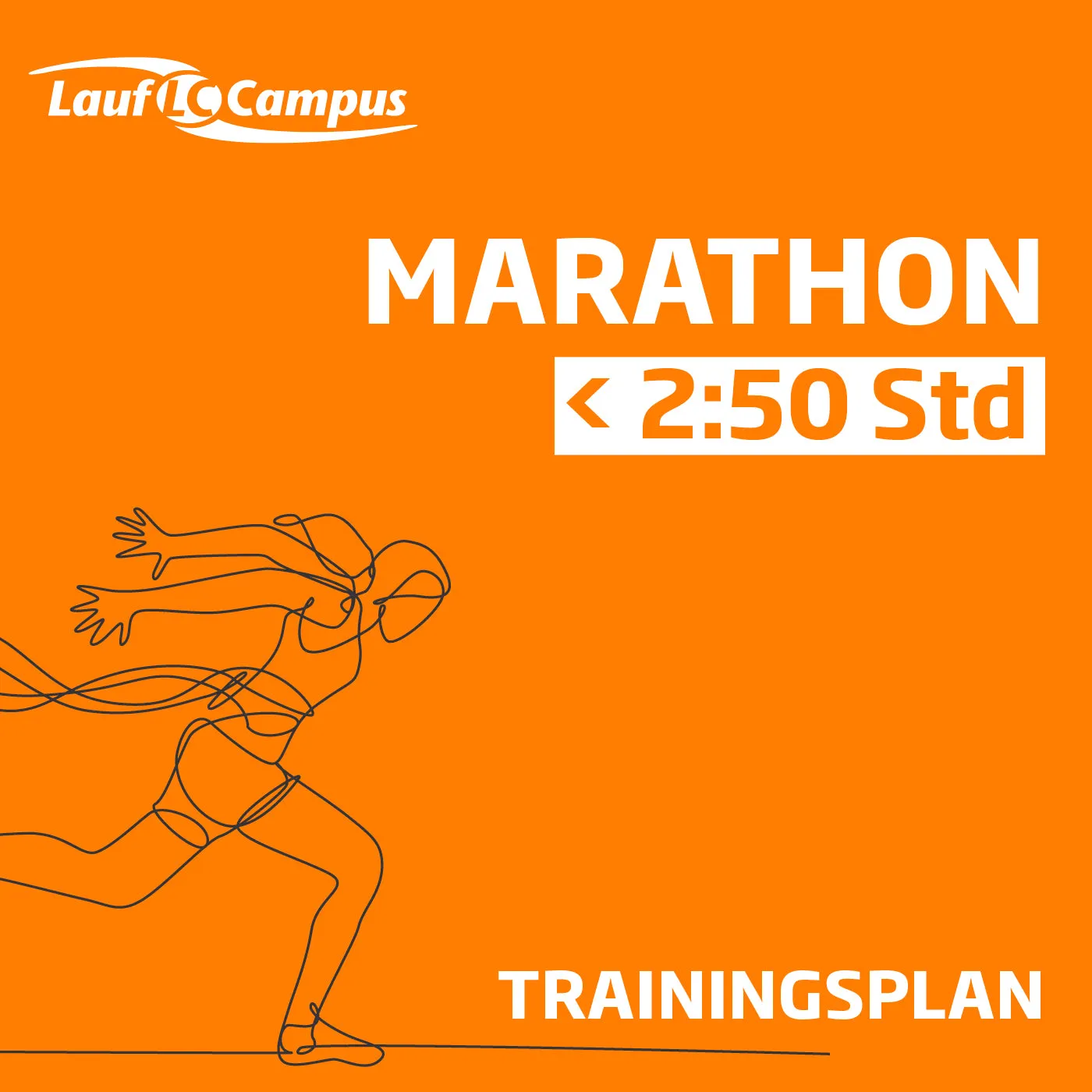 Trainingsplan Marathon unter 2:50 Stunden